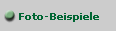 Foto-Beispiele